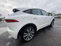 Jaguar E-Pace 2.0D 150CH R-DYNAMIC AWD BVA9 Blanc - thumbnail 5
