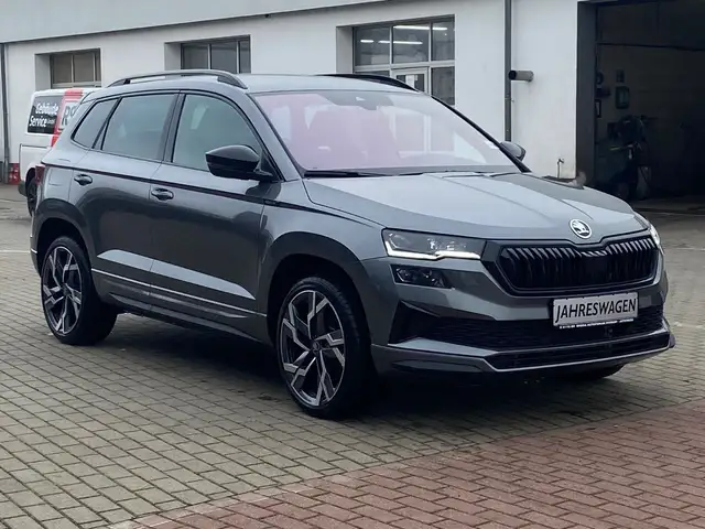 Skoda Karoq view 9