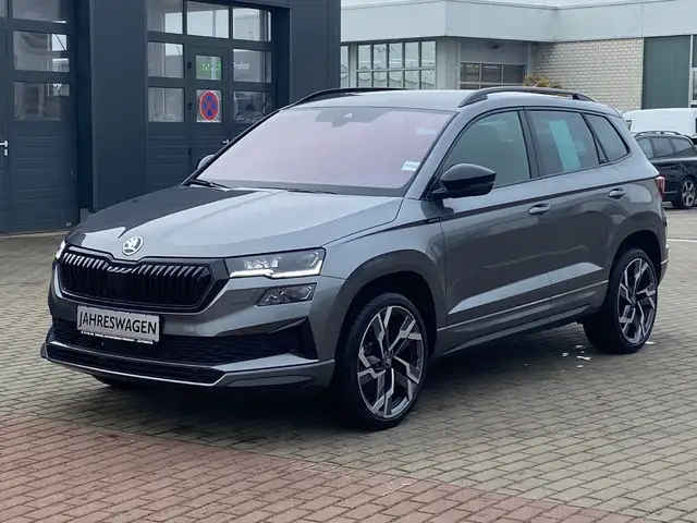 Skoda Karoq main image