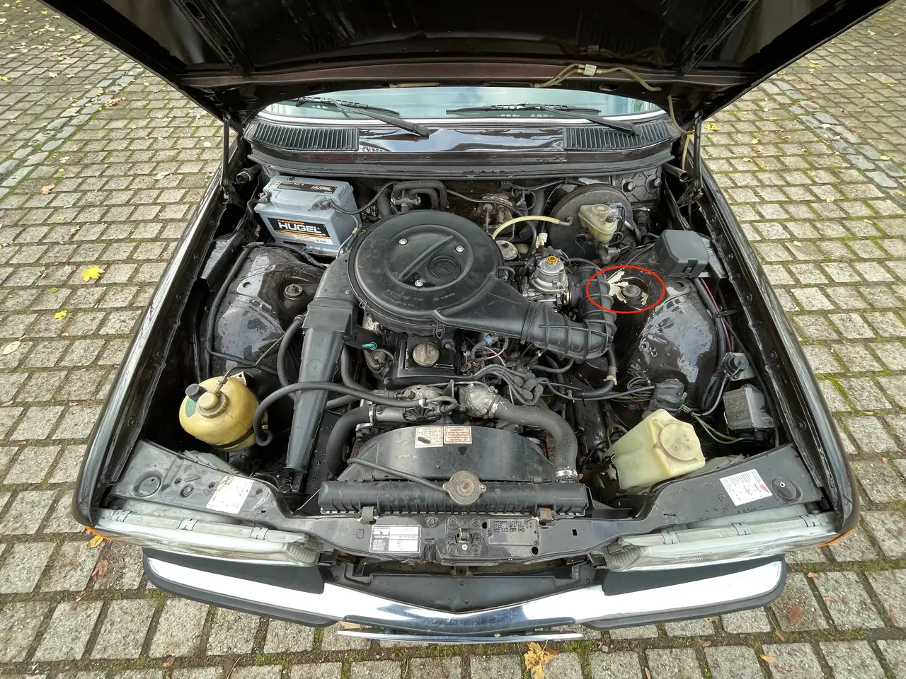 Mercedes-Benz 200 T (W123, S123), foto 6