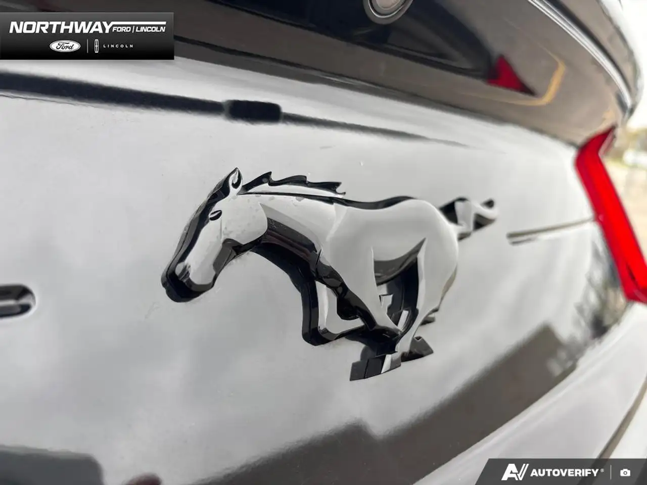 Ford Mustang снимка Ford Mustang