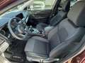 Nissan Qashqai DIG-T 103kW mHEV 4x2 N-GO Burdeos - thumbnail 5