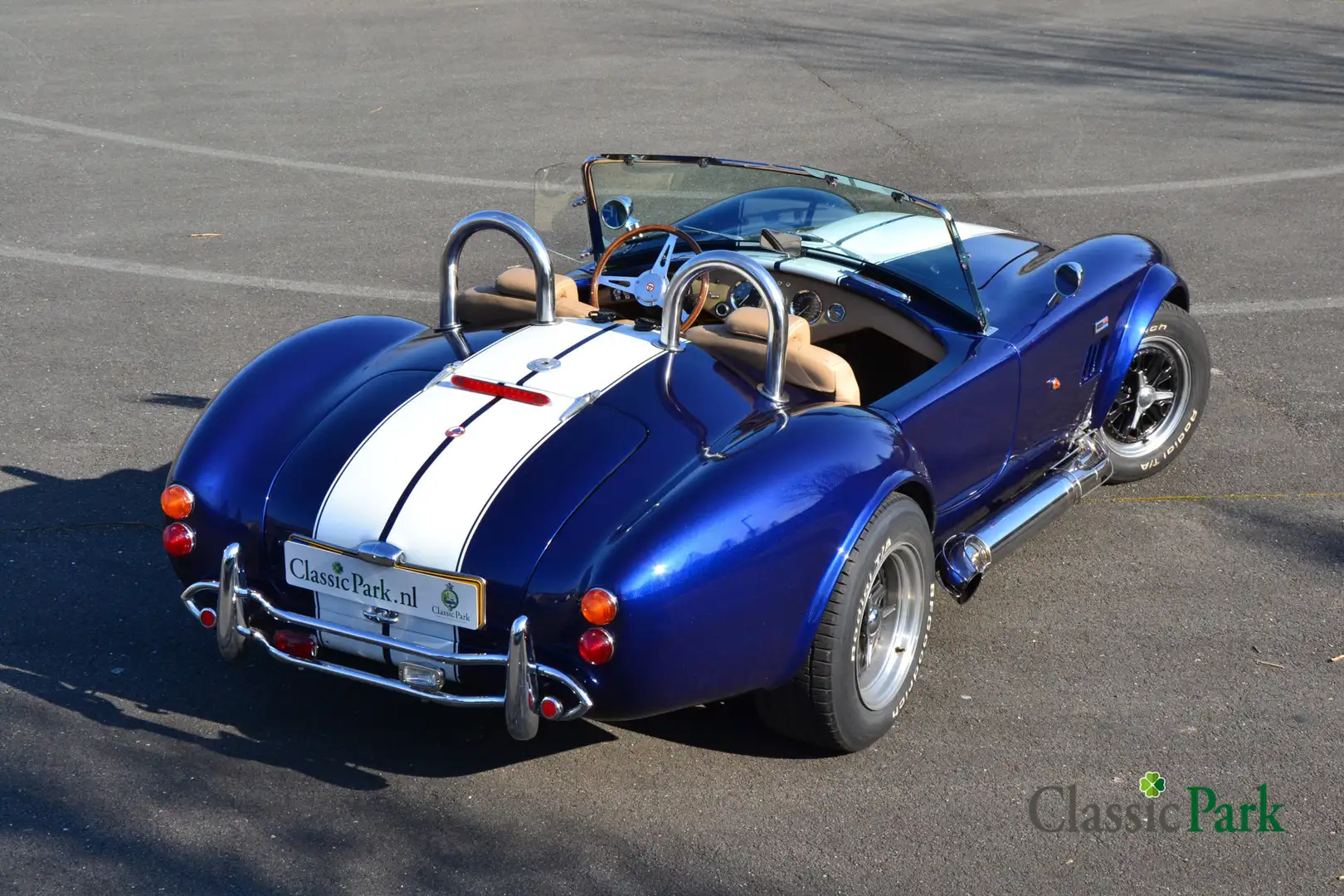 Altro Pilgrim Cobra 5.0 V8 Blu/Azzurro - 2