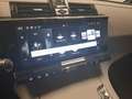 DS Automobiles DS 7 DS7 1.5 bluehdi Etoile 130cv auto Blu/Azzurro - thumbnail 12