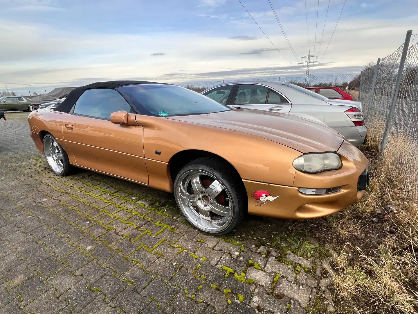 Chevrolet Camaro 3.8 Automatik Leder 20 Zoll Felgen Gold - 1