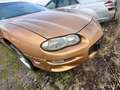 Chevrolet Camaro 3.8 Automatik Leder 20 Zoll Felgen Gold - thumbnail 2