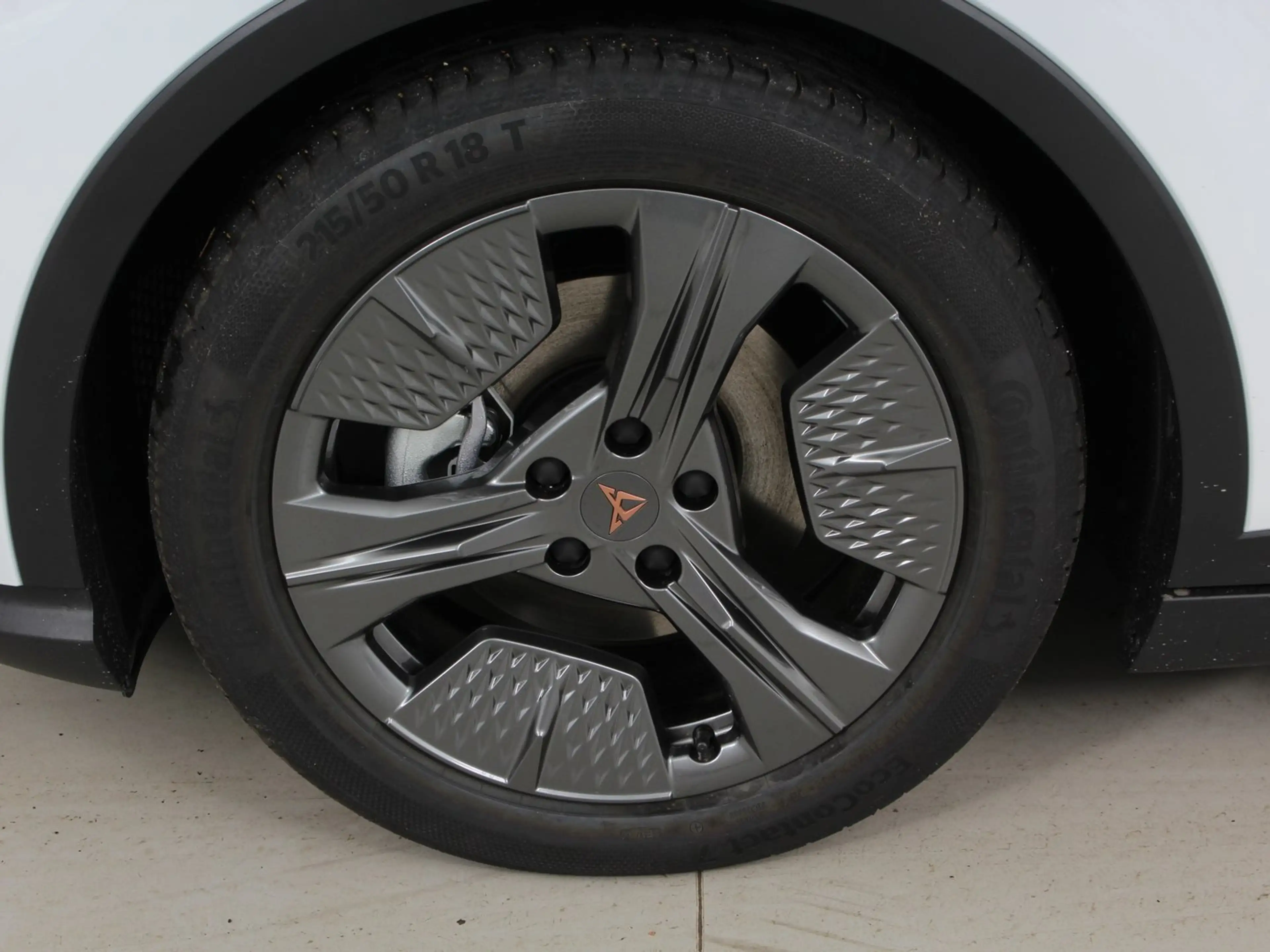 CUPRA Raval ENDURANCE 52/55 155kW/211 PS — photo 12