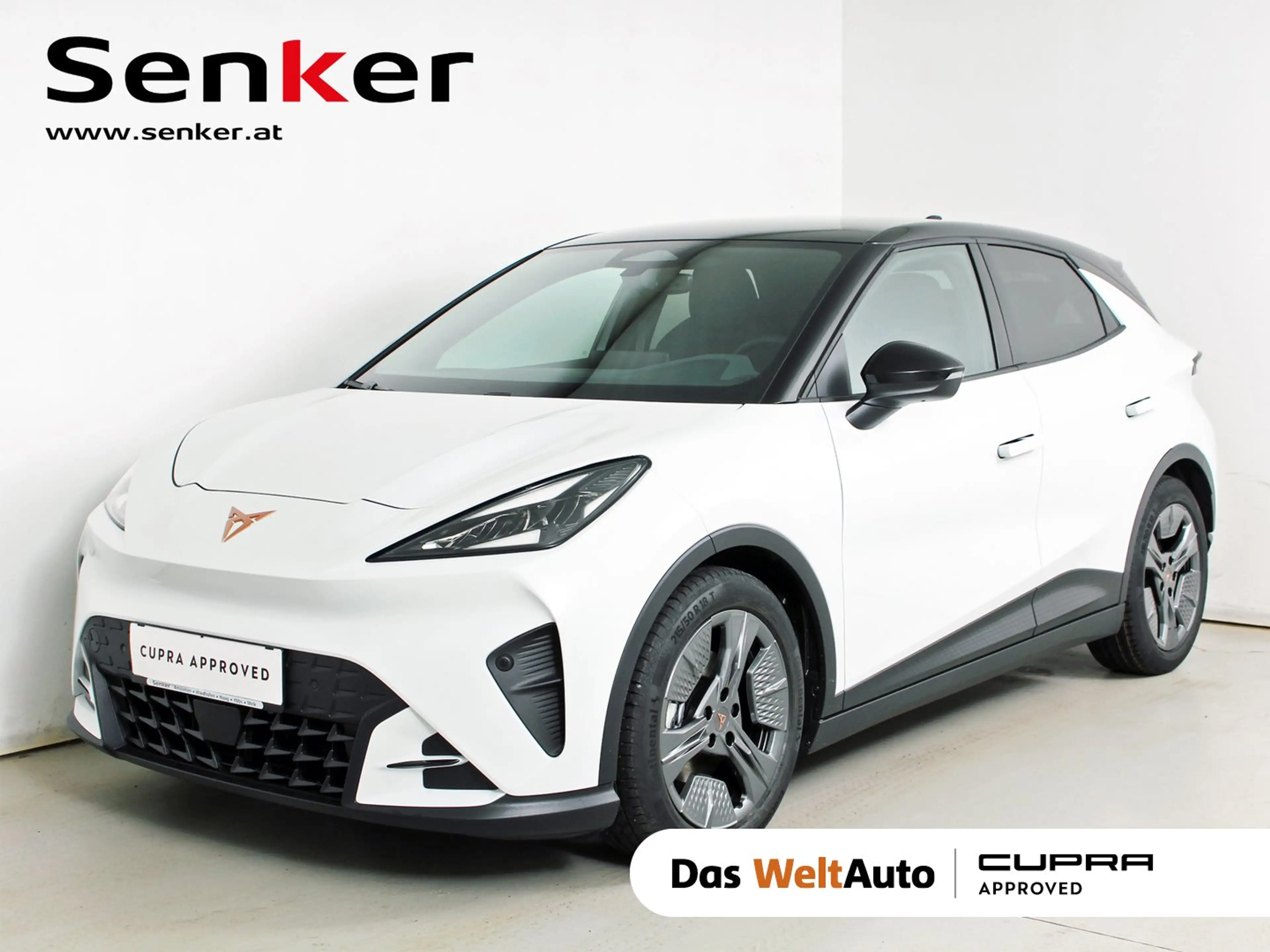 CUPRA Raval ENDURANCE 52/55 155kW/211 PS
