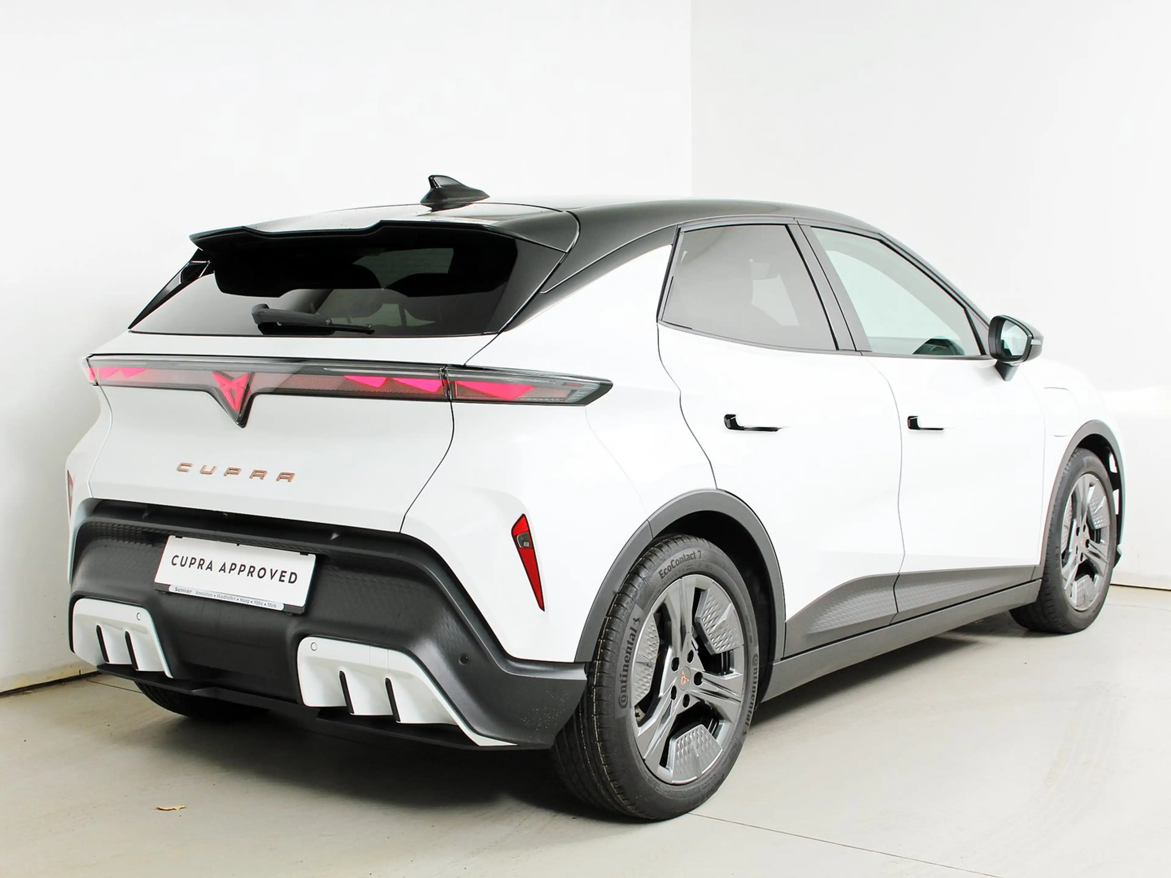 CUPRA Raval ENDURANCE 52/55 155kW/211 PS — photo 2