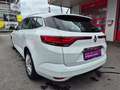 Renault Megane Business Edition Weiß - thumbnail 7