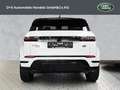 Land Rover Range Rover Evoque D180 R-Dynamic SE Blanc - thumbnail 7