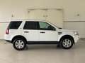 Land Rover Freelander 2 TD4 150CV AWD S Weiß - thumbnail 8