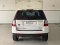 Land Rover Freelander 2 TD4 150CV AWD S Weiß - thumbnail 7