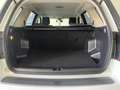 Land Rover Freelander 2 TD4 150CV AWD S Weiß - thumbnail 15