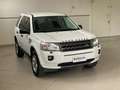 Land Rover Freelander 2 TD4 150CV AWD S Weiß - thumbnail 10