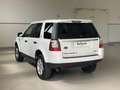Land Rover Freelander 2 TD4 150CV AWD S Weiß - thumbnail 11