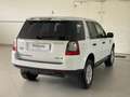Land Rover Freelander 2 TD4 150CV AWD S Weiß - thumbnail 2