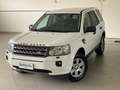 Land Rover Freelander 2 TD4 150CV AWD S Weiß - thumbnail 1