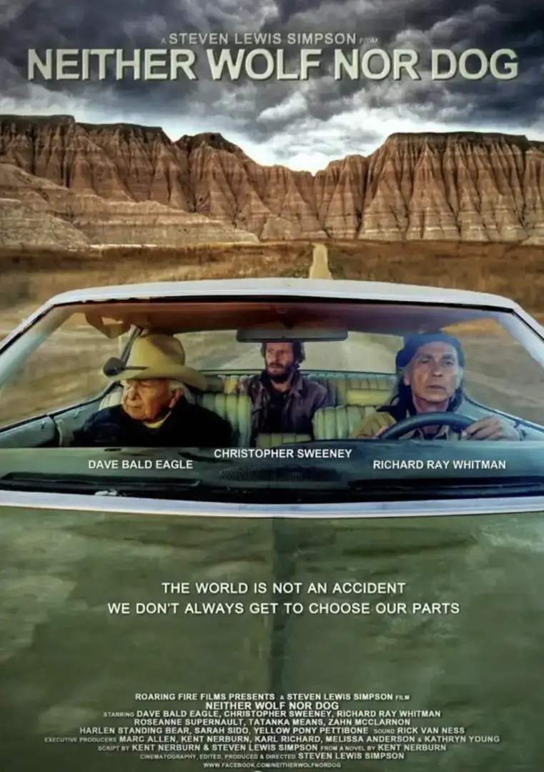 Buick Electra Grün - 2