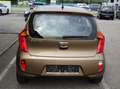Kia Picanto Braun - thumbnail 5