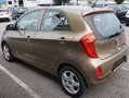 Kia Picanto Braun - thumbnail 4