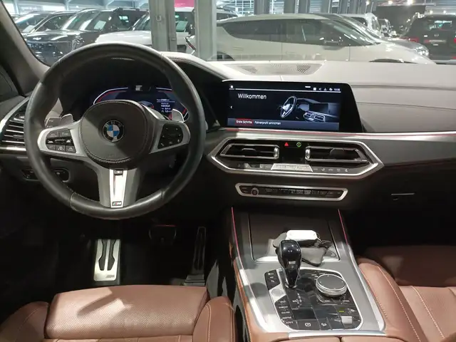 BMW X5 view 9