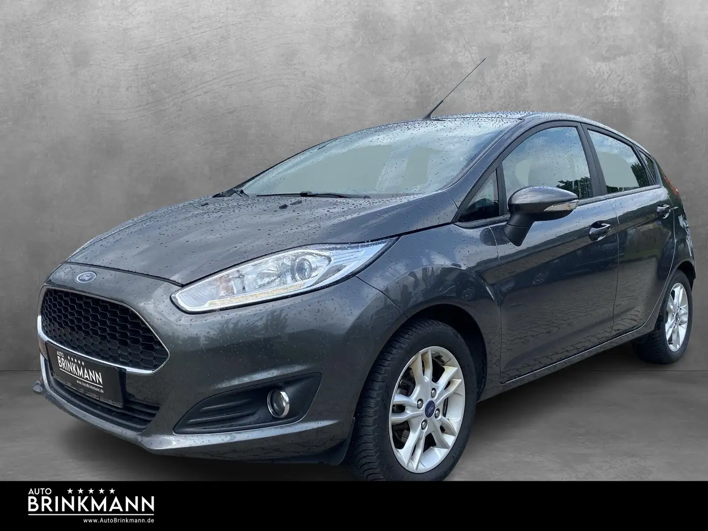 Ford Fiesta Fiesta 1.0 Celebration SHZ/Zusatzhz./eFH./NSW Grijs - 1