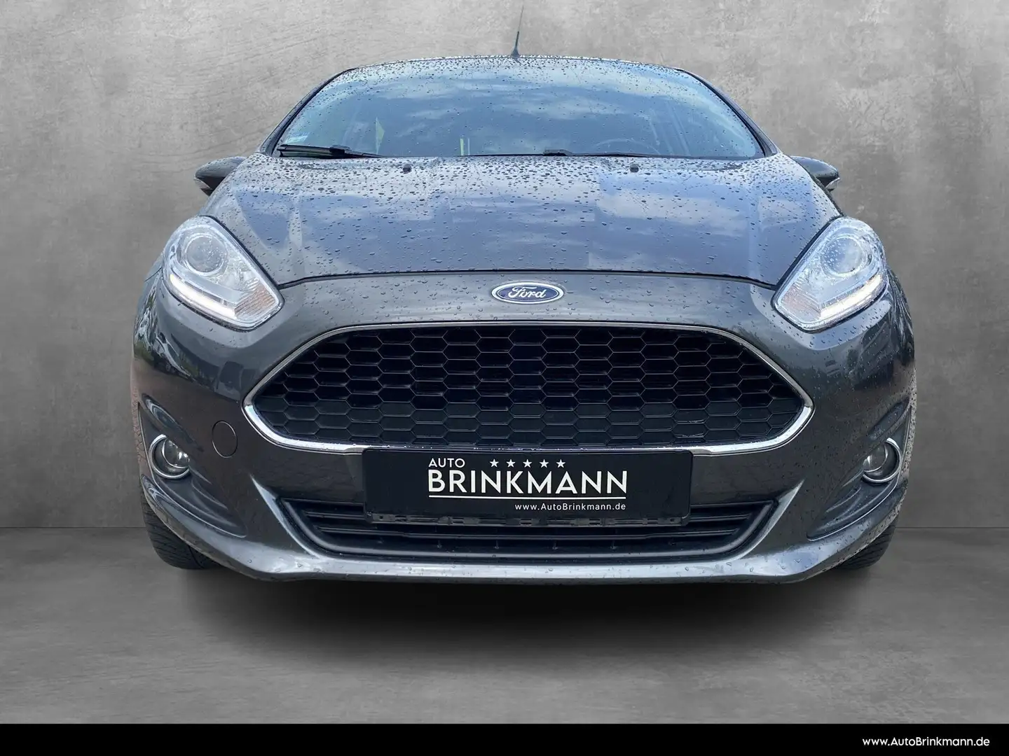 Ford Fiesta Fiesta 1.0 Celebration SHZ/Zusatzhz./eFH./NSW Grijs - 2