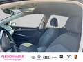 Volkswagen Golf VIII Move 1.5 Life+DAB+NAVI+ACC+SHZ+KAMERA Blanc - thumbnail 12