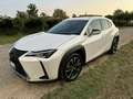 Lexus UX 200 UX 2019 250h 2.0 Executive 2wd cvt Bianco - thumbnail 1