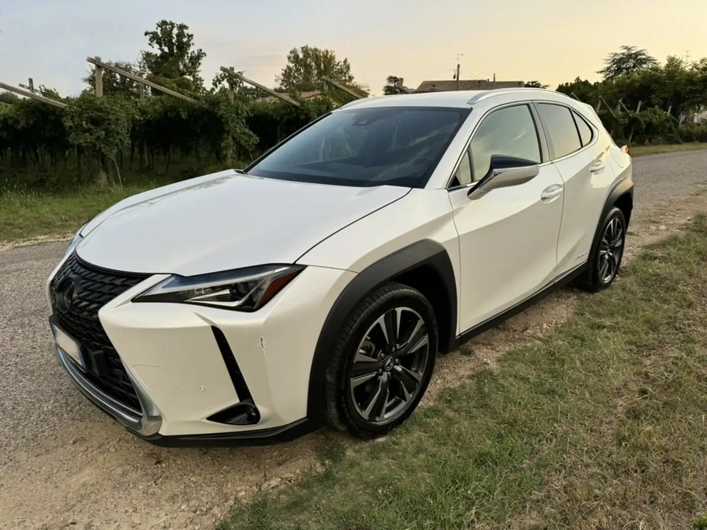 Lexus UX 200 UX 2019 250h 2.0 Executive 2wd cvt Bianco - 1