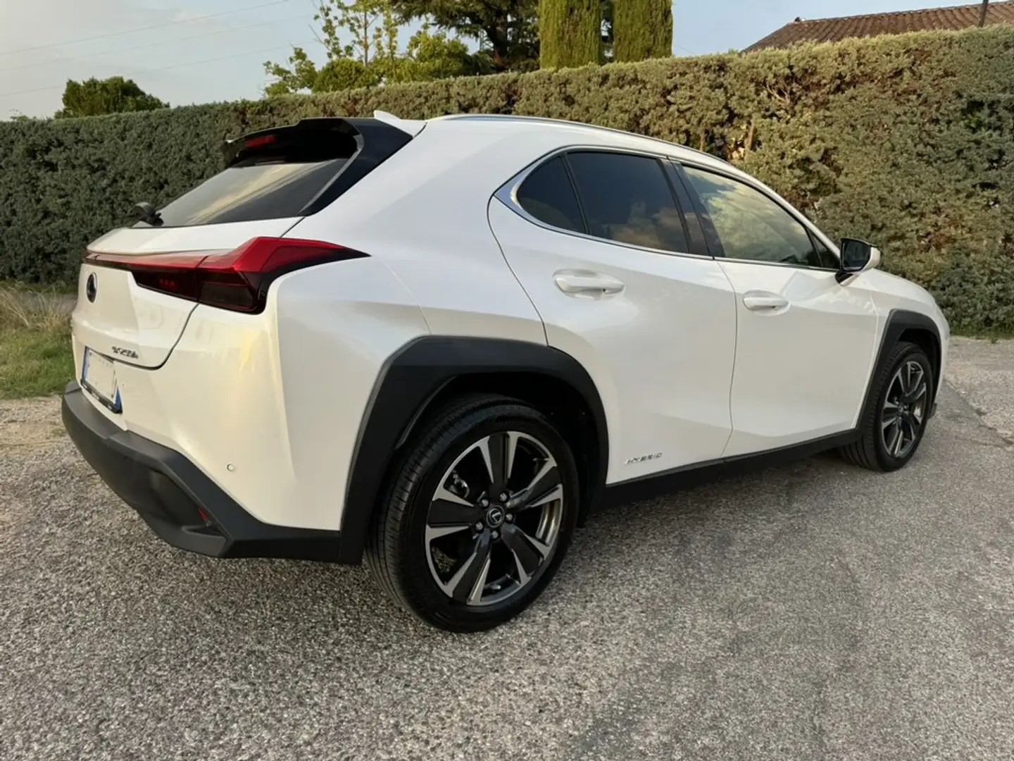 Lexus UX 200 UX 2019 250h 2.0 Executive 2wd cvt Bianco - 2