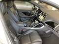 Jaguar I-Pace Austria Edition EV320 AWD Wit - thumbnail 6