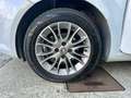Fiat Punto Evo Punto III 2009 Evo 5p 1.3 mjt Blue Wit - thumbnail 13