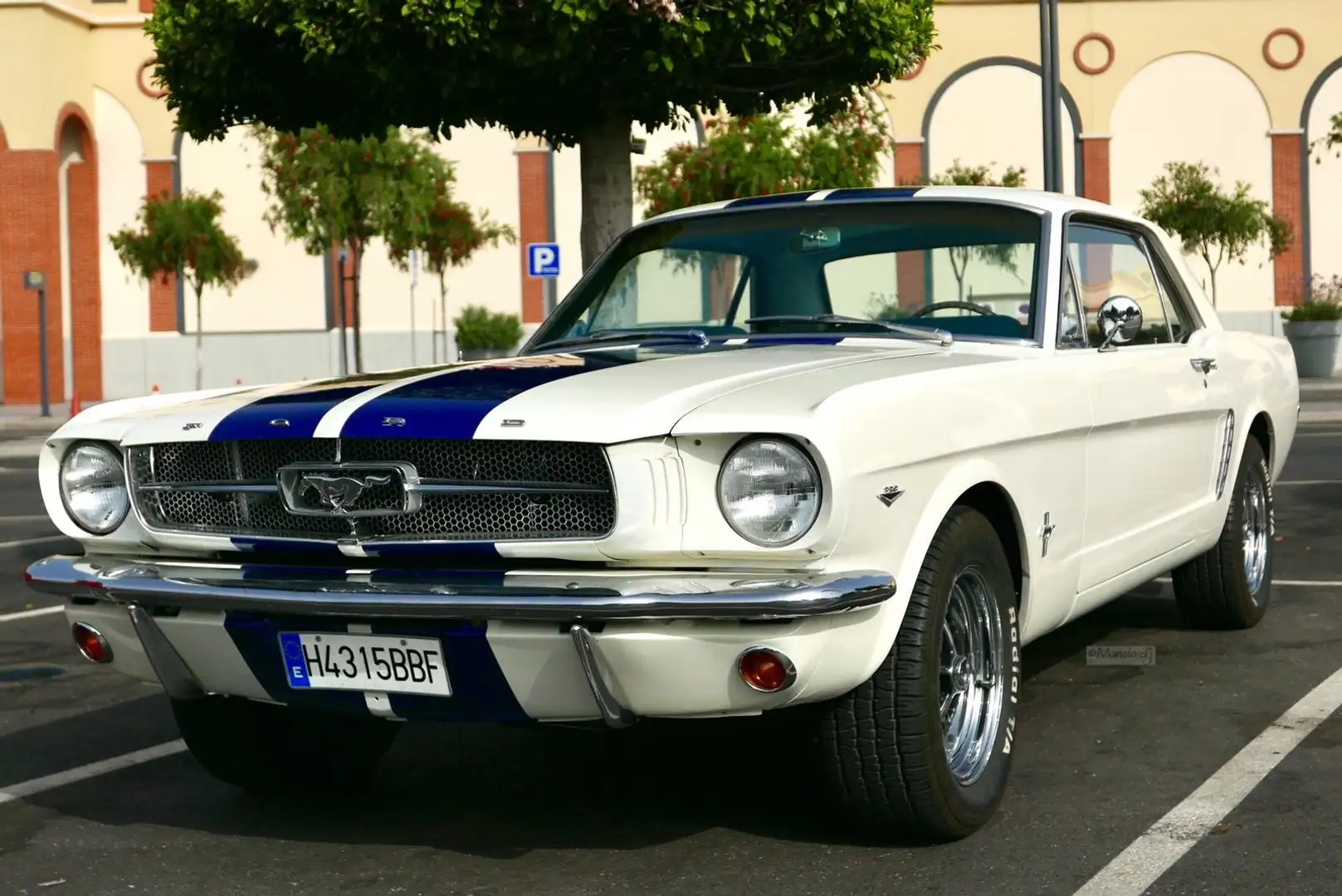 Ford Mustang Coupe 289 Blanco - 2