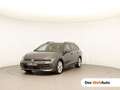 Volkswagen Golf Variant Business mHeV TSI DSG Grau - thumbnail 1