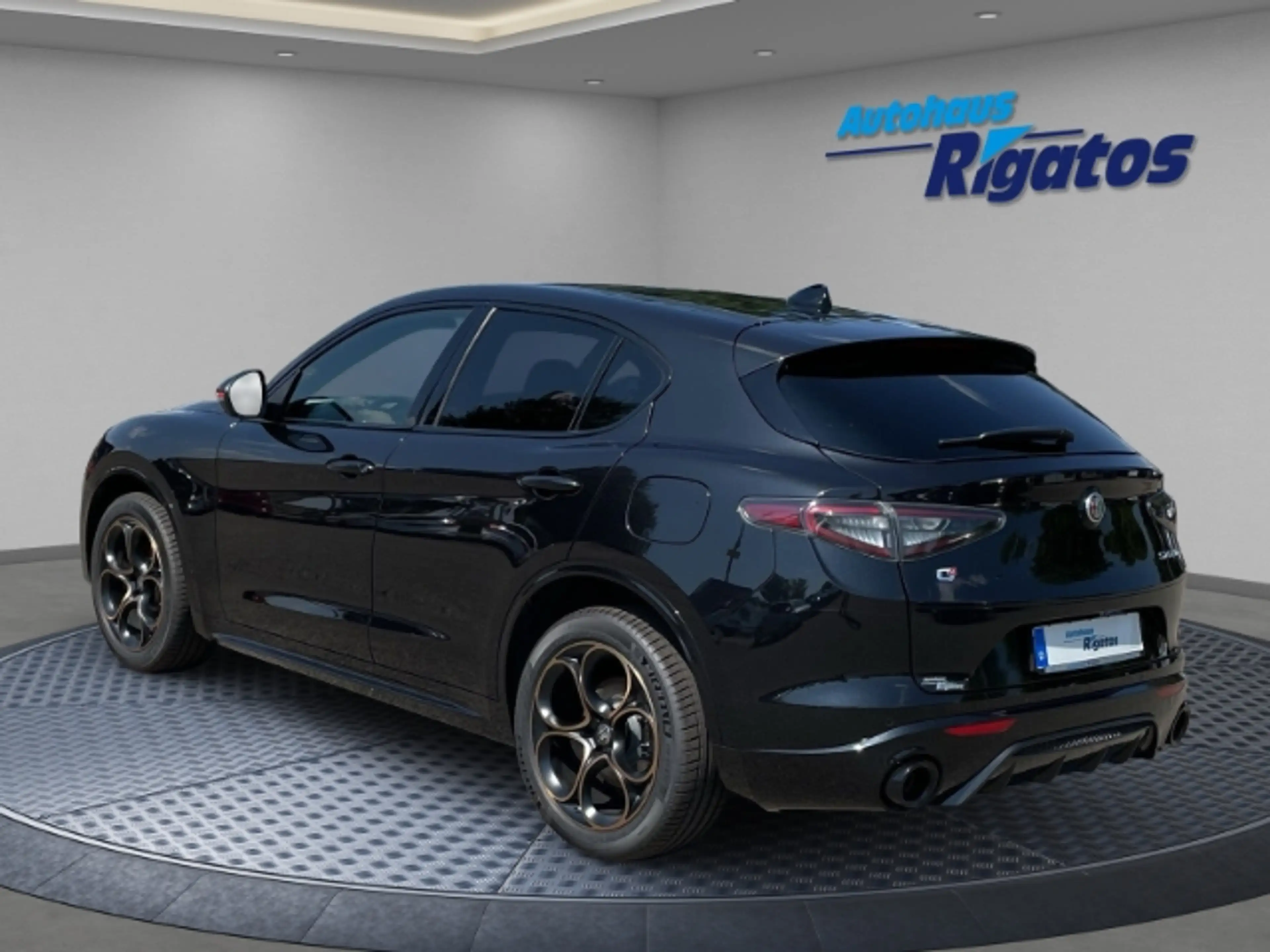 Alfa Romeo Stelvio 2.0 Turbo 16V Intensa Q4 Autom. Panoramadach, Navi — photo 2