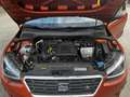 SEAT Arona FR - Sportpacket 1.0 TGI frisches ÖAMTC pickerle - thumbnail 12