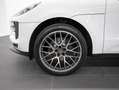 Porsche Macan II Weiß - thumbnail 46