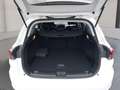 Fiat Tipo Kombi Cross Hybrid 130 eDCT7 Blanco - thumbnail 11