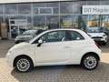 Fiat 500C 500 C 1.0 Dolce Vita Pano+SD+LM+Carplay+DAB Alb - thumbnail 3