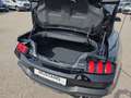 Ford Mustang 5,0 Ti-VCT V8 GT Cabrio Aut. Schwarz - thumbnail 9