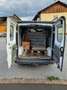 Renault Trafic Trafic Gen. Expr. L1H1 2,0 dCi Expression Weiß - thumbnail 15
