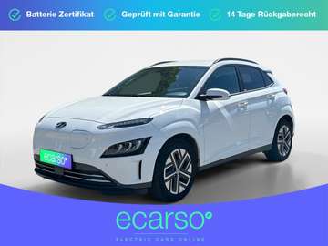 Trend Elektro 2WD
