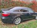 Lexus LS 600 LS  600h 5.0 auto Hybrid 4x4 HF4 Auto BLU PRESIDENZIALE - thumbnail 13