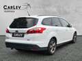 Ford Focus Turnier Zahnriemen neu 125 PS Blanc - thumbnail 7
