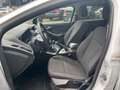 Ford Focus Turnier Zahnriemen neu 125 PS Blanc - thumbnail 10