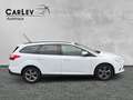 Ford Focus Turnier Zahnriemen neu 125 PS Blanc - thumbnail 8