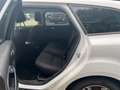 Ford Focus Turnier Zahnriemen neu 125 PS Blanc - thumbnail 12
