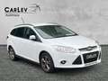 Ford Focus Turnier Zahnriemen neu 125 PS Blanc - thumbnail 1